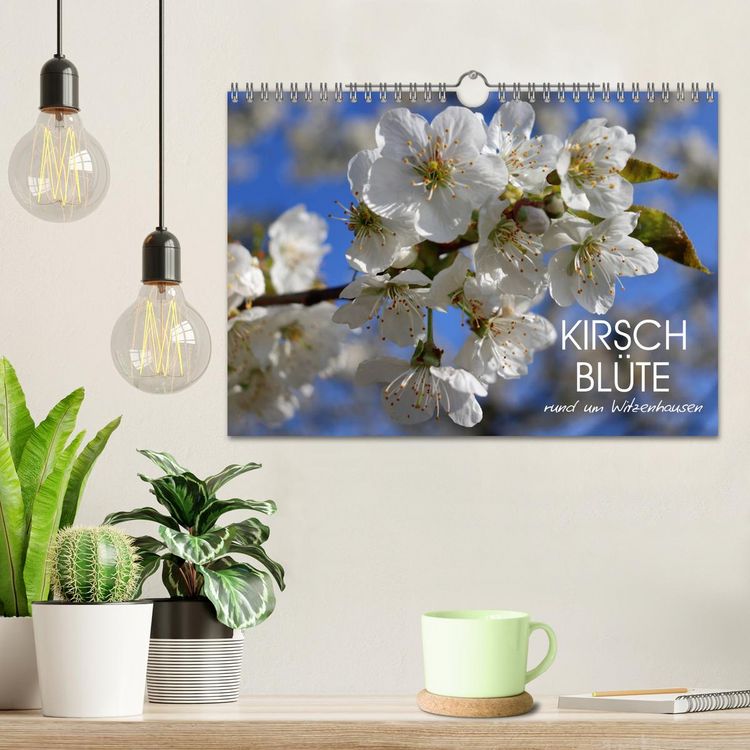 Produktbild: Kirschbl&uuml;te rund um Witzenhausen (Wandkalender 2026 DIN A4 quer), CALVENDO Monatskalender