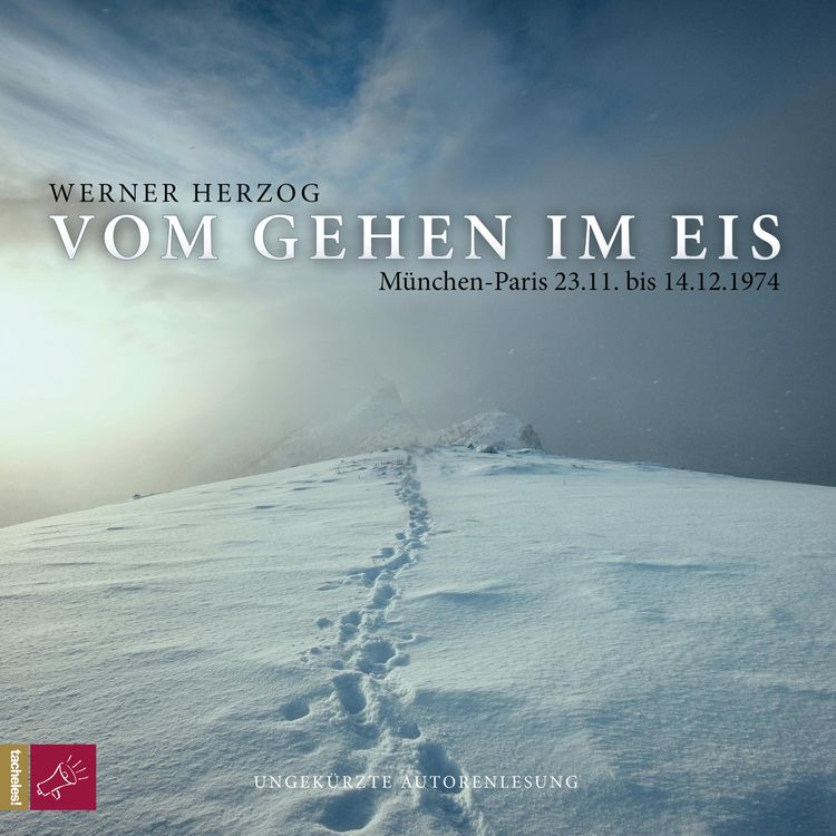 Produktbild: Vom Gehen im Eis