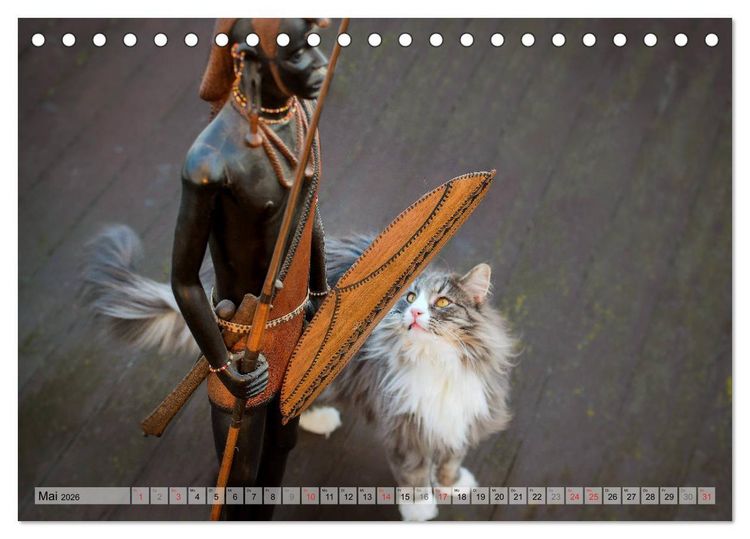 Produktbild: Taffe Begegnungen-Drei Waldkatzen auf Abenteuerreisen (Tischkalender 2026 DIN A5 quer), CALVENDO Monatskalender