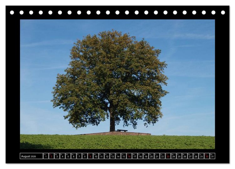 Produktbild: Odenwald - Landschaft sehen (Tischkalender 2026 DIN A5 quer), CALVENDO Monatskalender