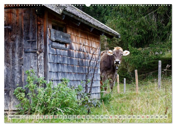 Produktbild: Herbst im Tannheimer Tal - Impressionen von Schattwald bis Nesselw&auml;ngle (Wandkalender 2026 DIN A2 quer), CALVENDO Monatskalender