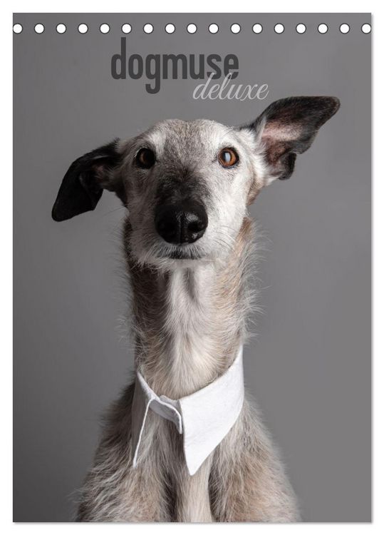 Produktbild: dogmuse deluxe (Tischkalender 2026 DIN A5 hoch), CALVENDO Monatskalender
