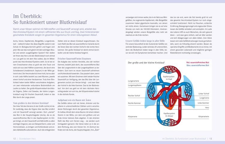 Produktbild: Die Ern&auml;hrungs-Docs &ndash; Starkes Herz