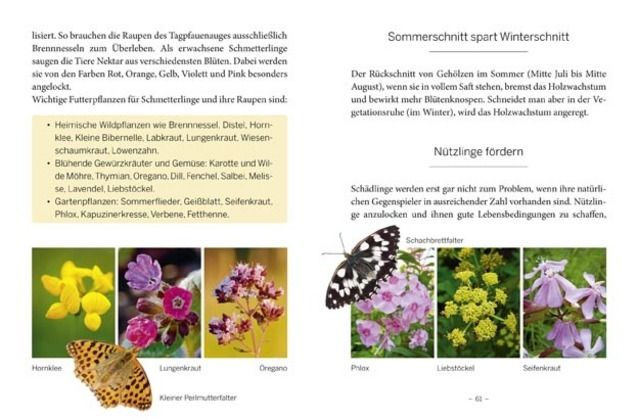 Produktbild: Das gro&szlig;e kleine Buch: Mein Garten im Sommer