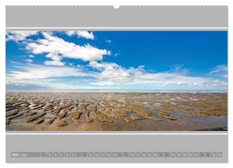 Produktbild: Ostfriesland - Deichspaziergang (hochwertiger Premium Wandkalender 2026 DIN A2 quer), Kunstdruck in Hochglanz