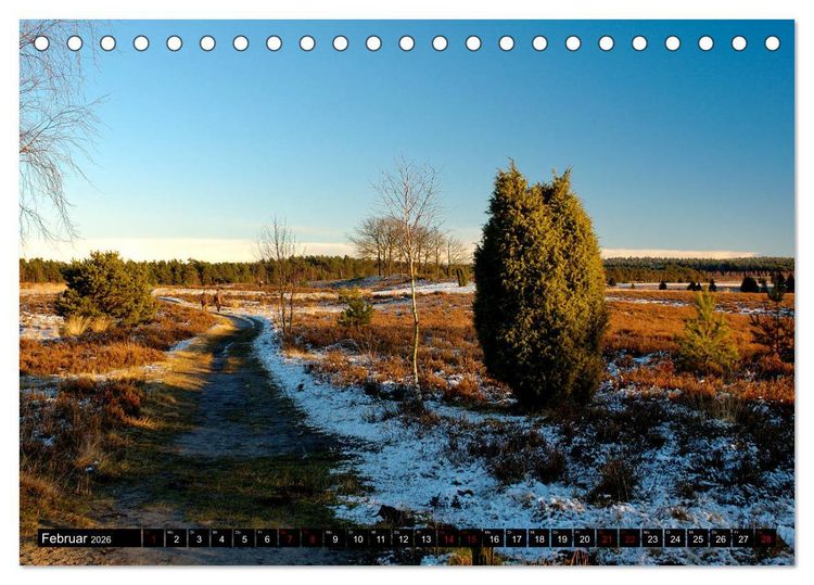 Produktbild: L&uuml;neburger Heide (Tischkalender 2026 DIN A5 quer), CALVENDO Monatskalender