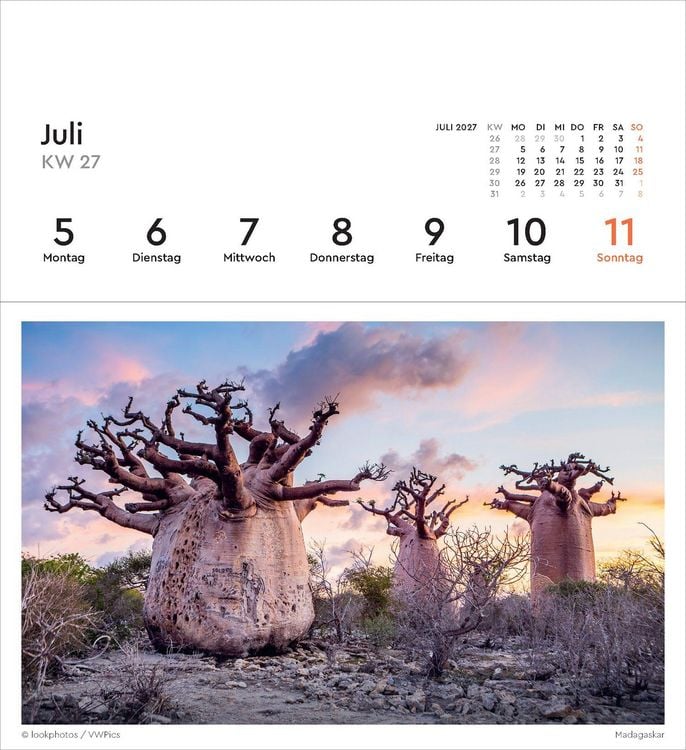 Produktbild: Alte B&auml;ume - KUNTH Postkartenkalender 2027