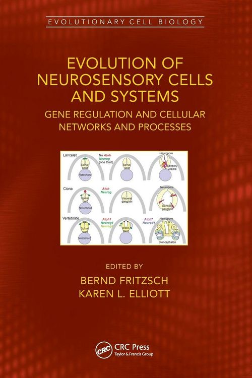 Produktbild: Evolution of Neurosensory Cells and Systems