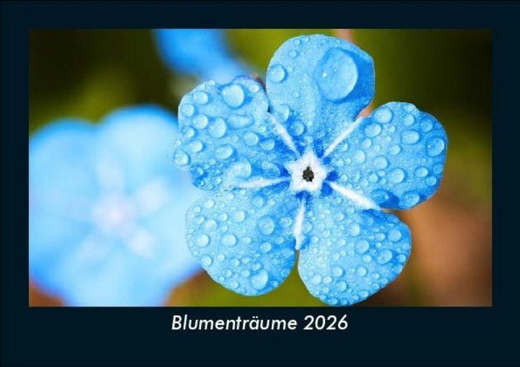 Produktbild: Blumentr&auml;ume 2026 Fotokalender DIN A5