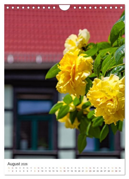 Produktbild: Die Stadt Sangerhausen (Wandkalender 2026 DIN A4 hoch), CALVENDO Monatskalender