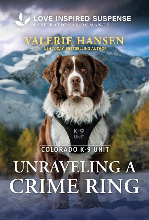 Produktbild: Unraveling a Crime Ring