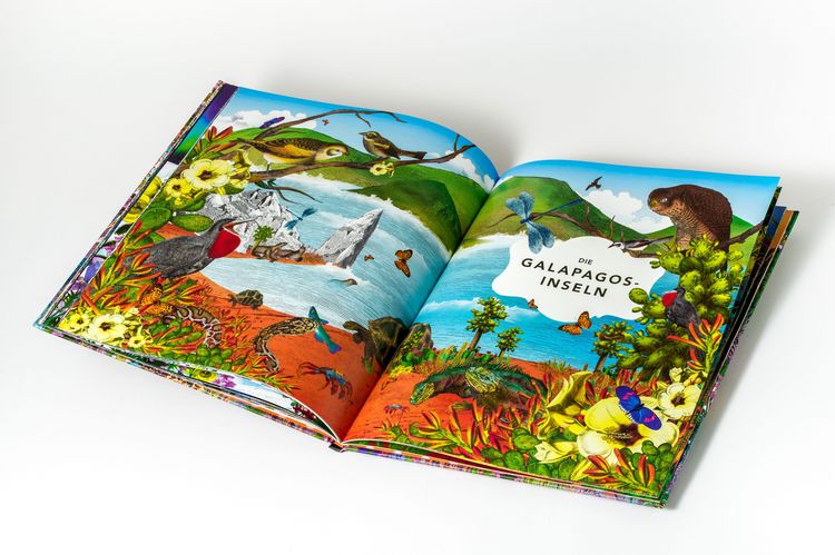 Produktbild: Die unglaubliche Safari