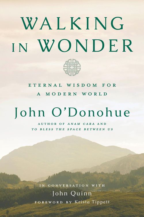 Produktbild: Walking in Wonder