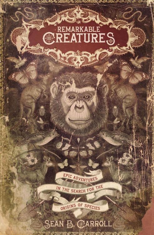 Produktbild: Remarkable Creatures
