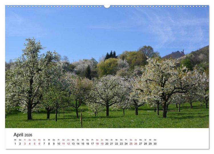 Produktbild: Zauberhafte Schw&auml;bische Alb (hochwertiger Premium Wandkalender 2026 DIN A2 quer), Kunstdruck in Hochglanz