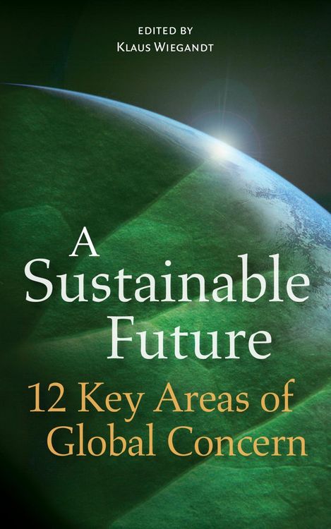 Produktbild: A Sustainable Future: 12 Key Areas of Global