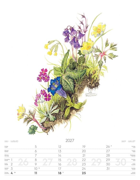 Produktbild: Alpenblumen-Aquarelle Kalender 2027