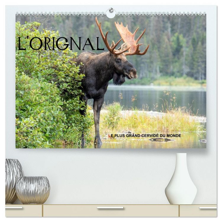 Produktbild: L'ORIGNAL, LE PLUS GRAND CERVID&Eacute; DU MONDE (Calendrier mural 2026 DIN A2 vertical) calendrier de bureau