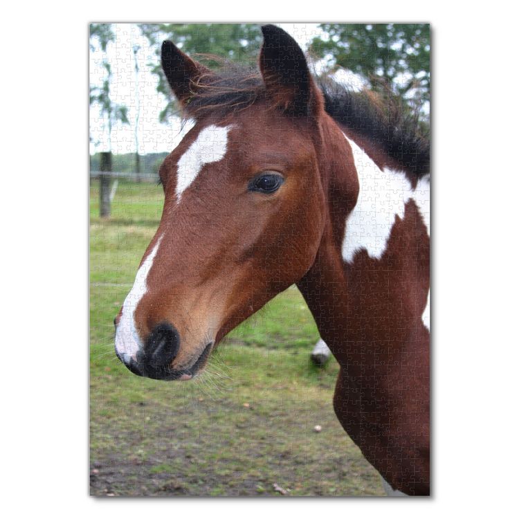 Produktbild: Lais Puzzle Pferd 1000 Teile