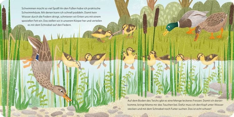 Produktbild: Kennst du mich? Ich bin eine Ente!