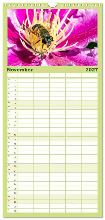 Produktbild: Familienplaner 2027 - INSEKTEN - Makrofotografie in freier Natur mit 5 Spalten (Wandkalender, 21 x 45 cm) CALVENDO
