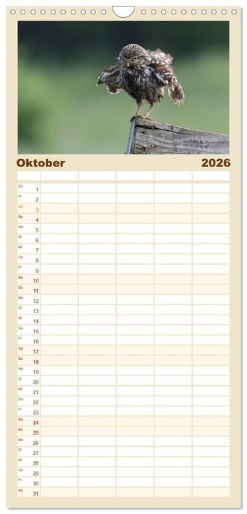 Produktbild: Familienplaner 2026 - Faszination Steinkauz mit 5 Spalten (Wandkalender, 21 x 45 cm) CALVENDO