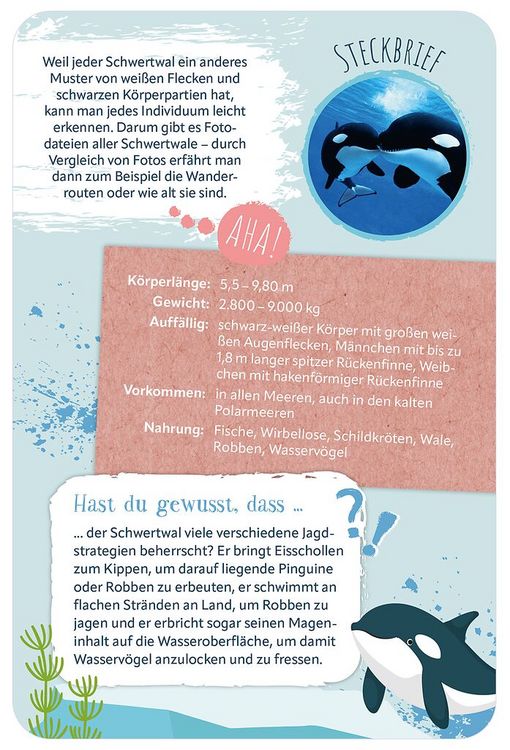Produktbild: Die 100 sch&ouml;nsten Tiere der Welt