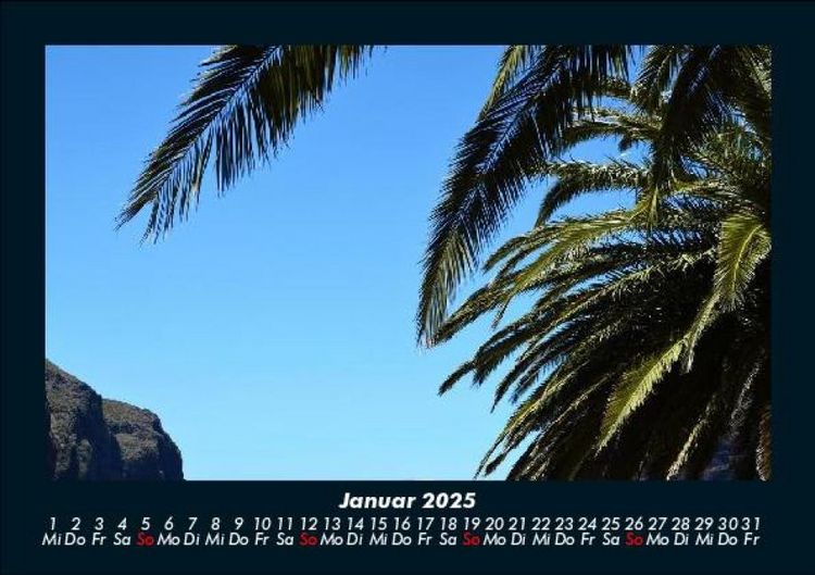 Produktbild: Palmentraum 2025 Fotokalender DIN A5