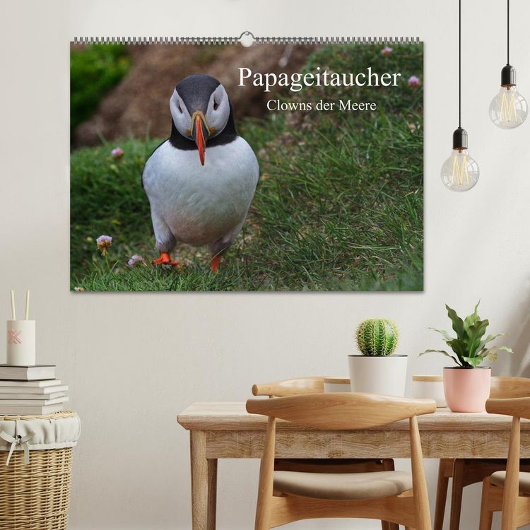 Produktbild: Papageitaucher Clowns der Meere (Wandkalender 2026 DIN A2 quer), CALVENDO Monatskalender