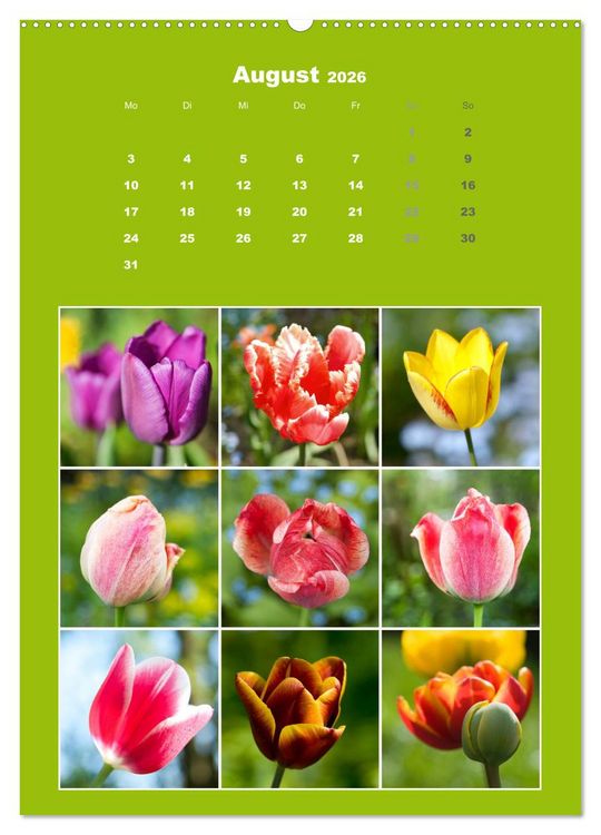 Produktbild: Der kunterbunte Collagen Kalender (hochwertiger Premium Wandkalender 2026 DIN A2 hoch), Kunstdruck in Hochglanz