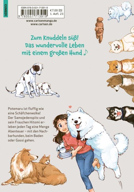 Produktbild: One Room Dog 1