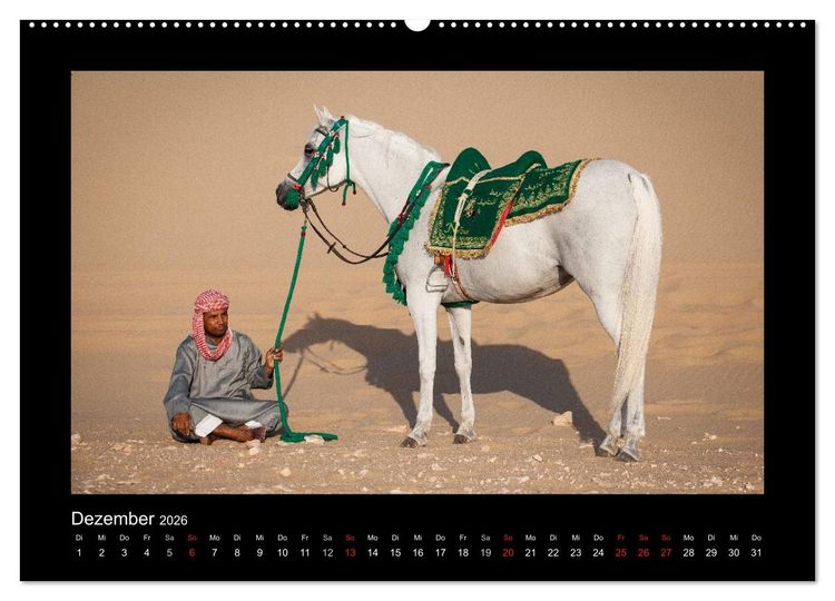 Produktbild: Vollblutaraber (hochwertiger Premium Wandkalender 2026 DIN A2 quer), Kunstdruck in Hochglanz