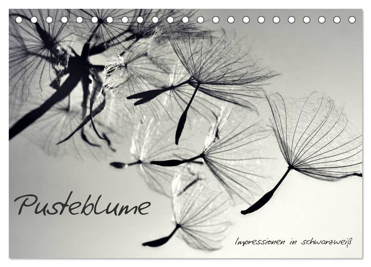 Produktbild: Pusteblume - Impressionen in schwarzwei&szlig; (Tischkalender 2026 DIN A5 quer), CALVENDO Monatskalender