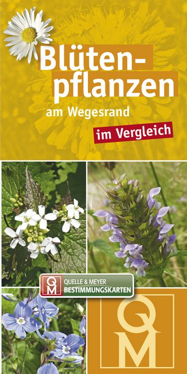 Produktbild: Bl&uuml;tenpflanzen am Wegesrand