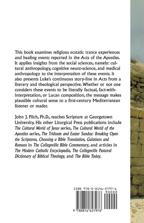 Produktbild: Visions and Healing in the Acts of the Apostles