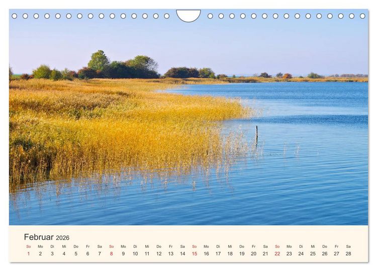 Produktbild: Ummanz - Naturparadies in der R&uuml;gener Boddenlandschaft (Wandkalender 2026 DIN A4 quer), CALVENDO Monatskalender