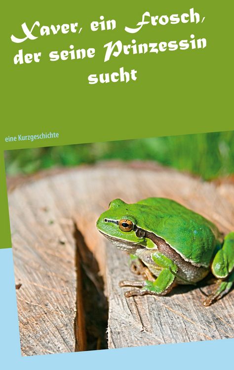 Produktbild: Xaver, ein Frosch, der seine Prinzessin sucht