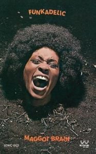 Produktbild: Maggot Brain