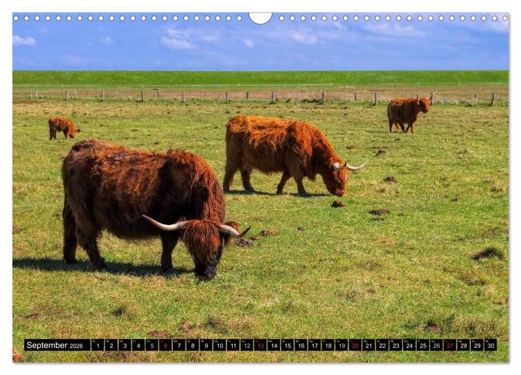 Produktbild: Langeoog - Sch&ouml;nste Insel Ostfrieslands (Wandkalender 2026 DIN A3 quer), CALVENDO Monatskalender