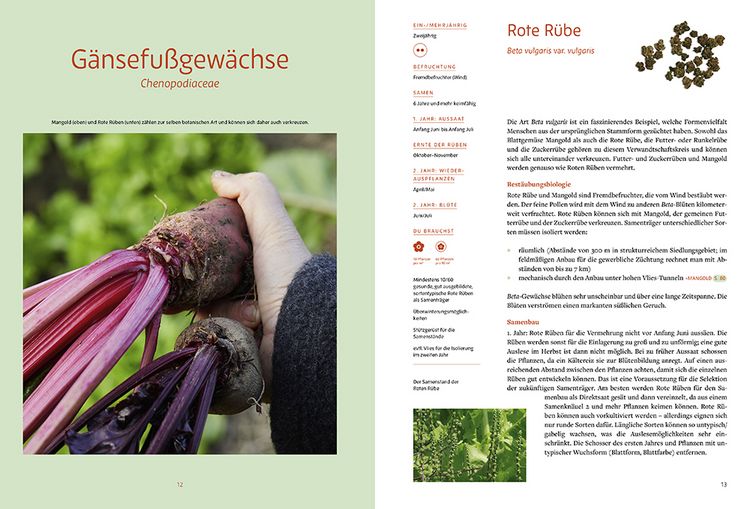 Produktbild: Handbuch Sameng&auml;rtnerei