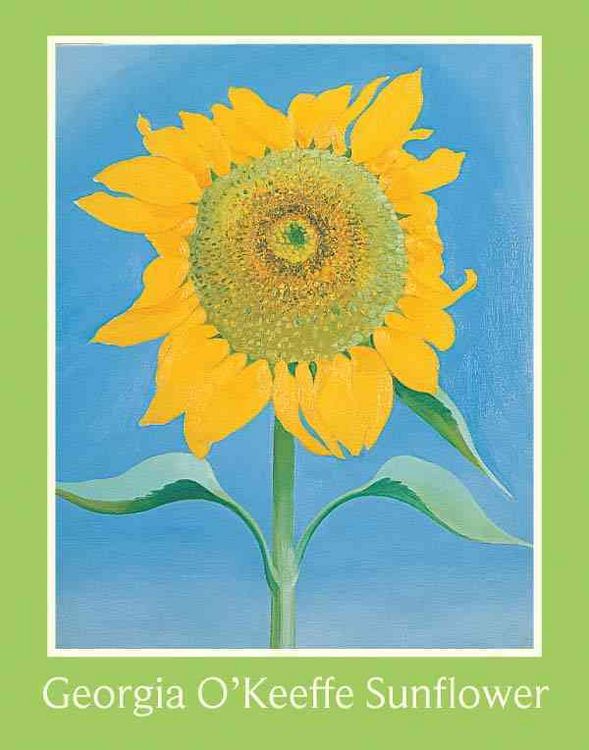 Produktbild: O'Keefe Sunflower Keepsake Box