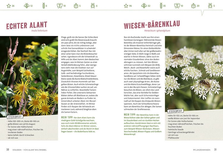 Produktbild: Richtig gute Pflanzen für Insekten