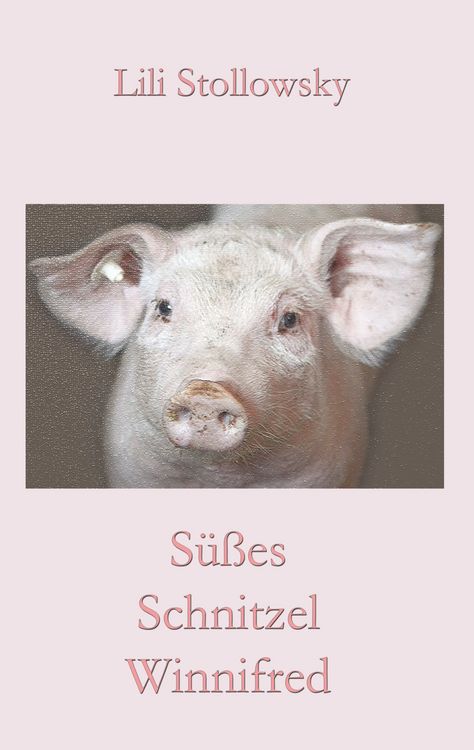 Produktbild: S&uuml;&szlig;es Schnitzel Winnifred