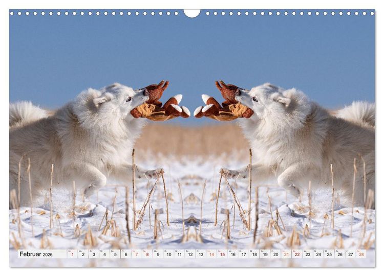 Produktbild: Mit doppelter Power durch das Jahr (Wandkalender 2026 DIN A3 quer), CALVENDO Monatskalender