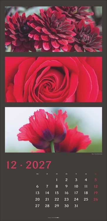 Produktbild: Die Farben der Natur Kalender 2027