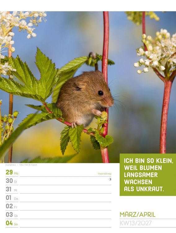 Produktbild: Tierisch Spr&uuml;chekalender Wochenplaner 2027