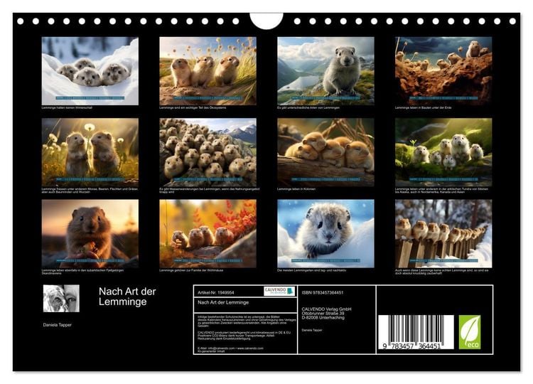 Produktbild: Nach Art der Lemminge (Wandkalender 2026 DIN A4 quer), CALVENDO Monatskalender