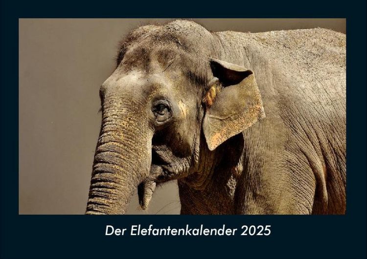 Produktbild: Der Elefantenkalender 2025 Fotokalender DIN A4