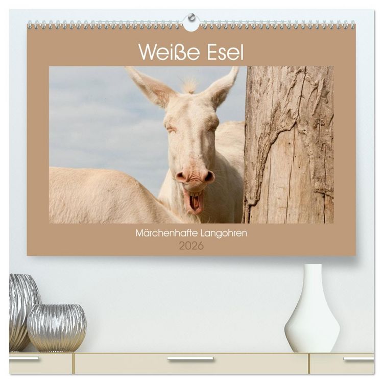 Produktbild: Wei&szlig;e Esel - M&auml;rchenhafte Langohren (hochwertiger Premium Wandkalender 2026 DIN A2 quer), Kunstdruck in Hochglanz