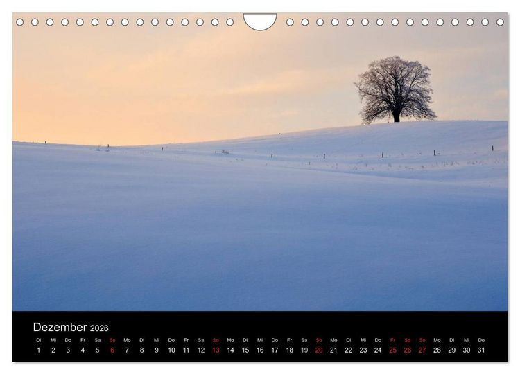 Produktbild: B&auml;ume (Wandkalender 2026 DIN A4 quer), CALVENDO Monatskalender